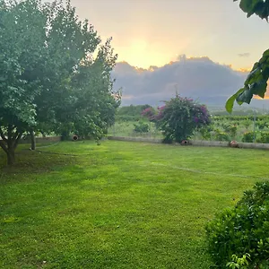 Lo Maset De Carmeta , Tivenys España